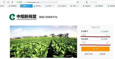 新盟网上订烟，便捷、安全、高效的烟草购物体验批发直销-第3张图片-香烟批发平台