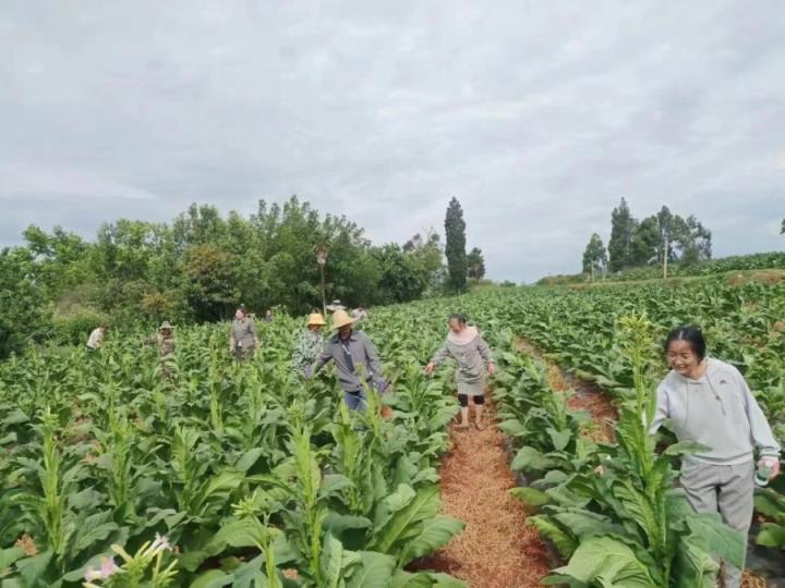 最新头条！买烟的网购平台“关怀备注”